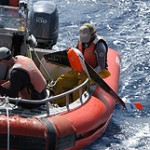 NOAA Recovery